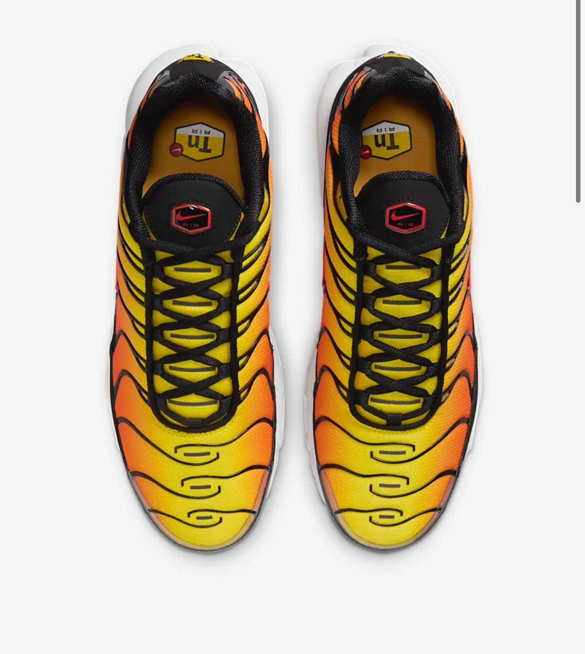 Nike air max plus